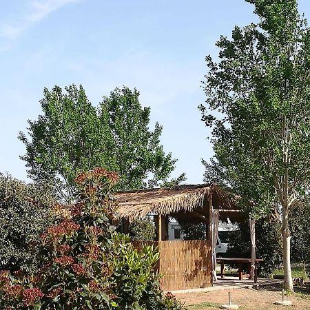 Bnatural Glamping Naturista/Nudista La Torraccia Exterior foto