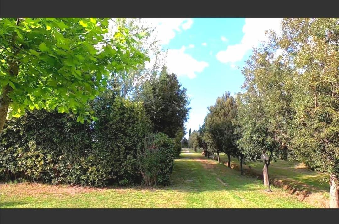 Bnatural Glamping Naturista/Nudista La Torraccia Exterior foto