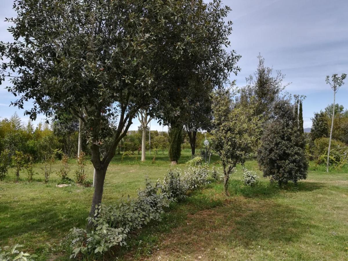 Bnatural Glamping Naturista/Nudista La Torraccia Exterior foto