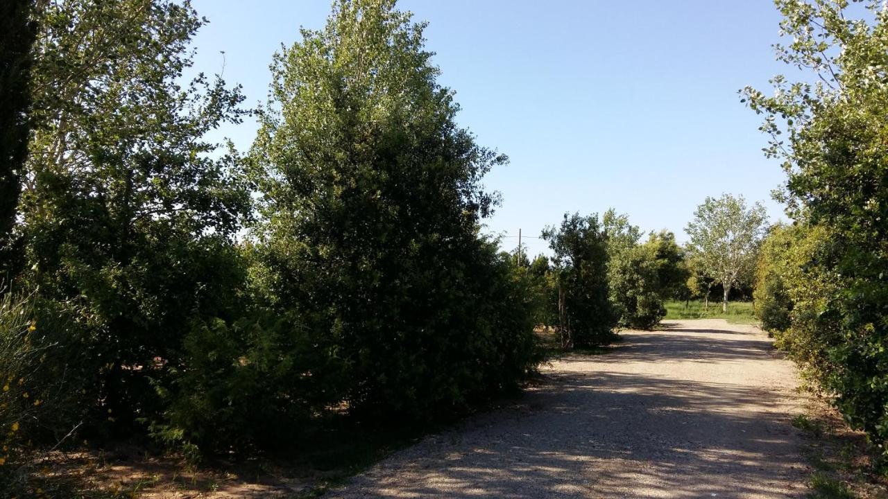 Bnatural Glamping Naturista/Nudista La Torraccia Exterior foto