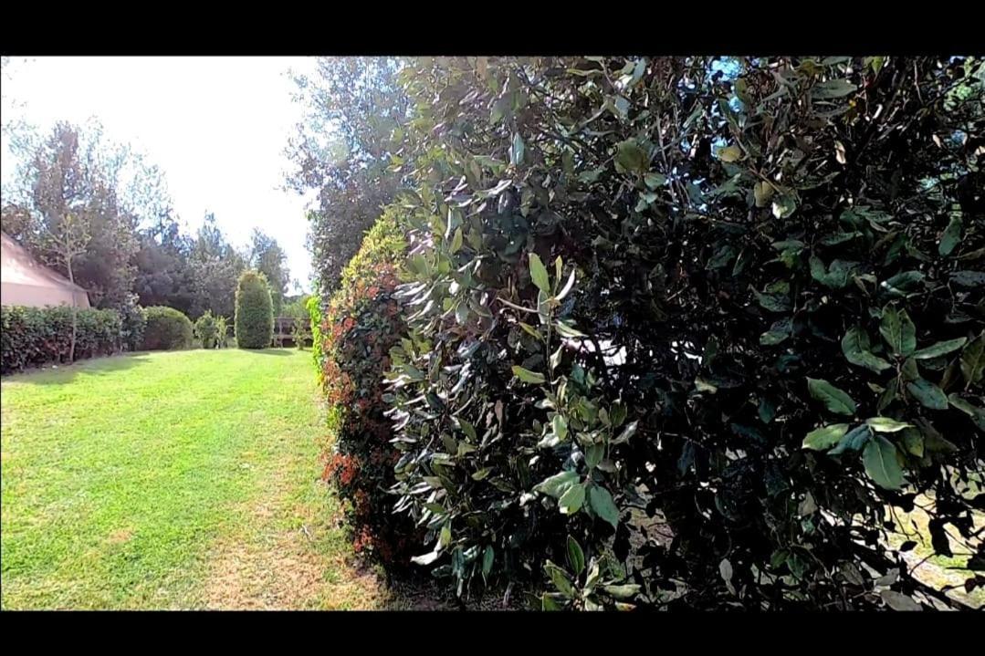 Bnatural Glamping Naturista/Nudista La Torraccia Exterior foto