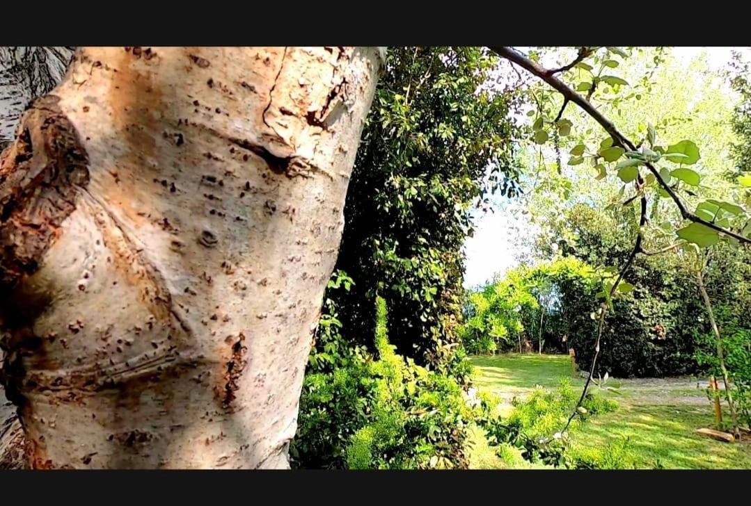Bnatural Glamping Naturista/Nudista La Torraccia Exterior foto