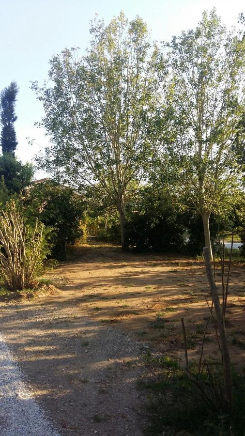Bnatural Glamping Naturista/Nudista La Torraccia Exterior foto