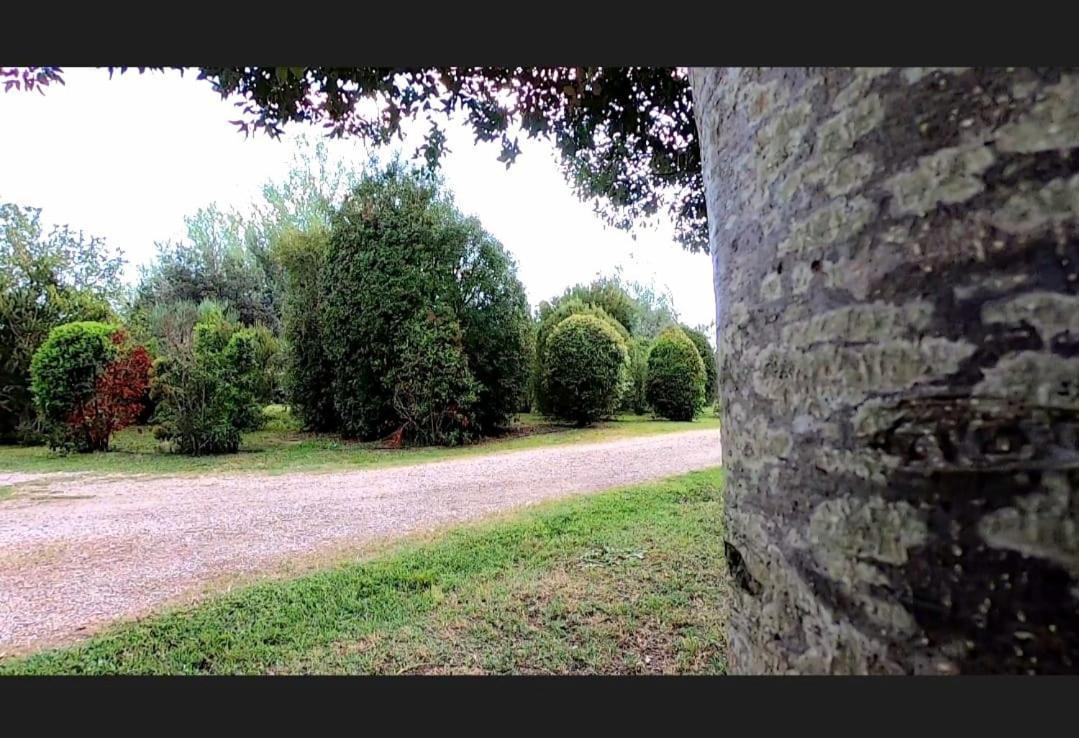 Bnatural Glamping Naturista/Nudista La Torraccia Exterior foto