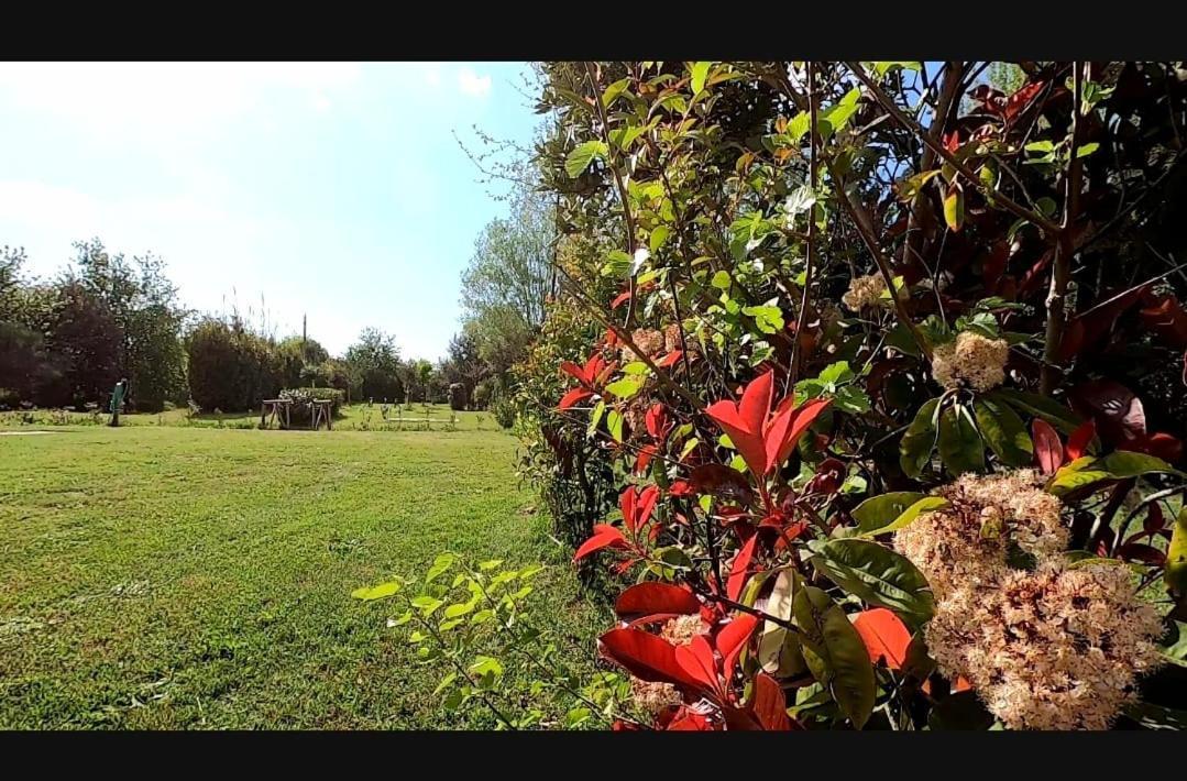 Bnatural Glamping Naturista/Nudista La Torraccia Exterior foto